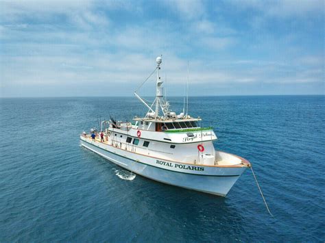 royal polaris sportfishing.